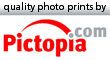 Pictopia logo