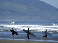 Surfers at the beach Surfers at the beach